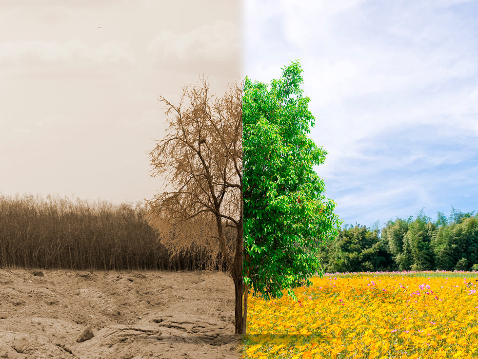 Estudios de evaluación ambiental(EIA, AAI, ISA..)